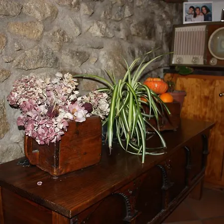 Country house Cal Mariano